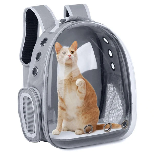 Stylish Cat Travel Backpack™
