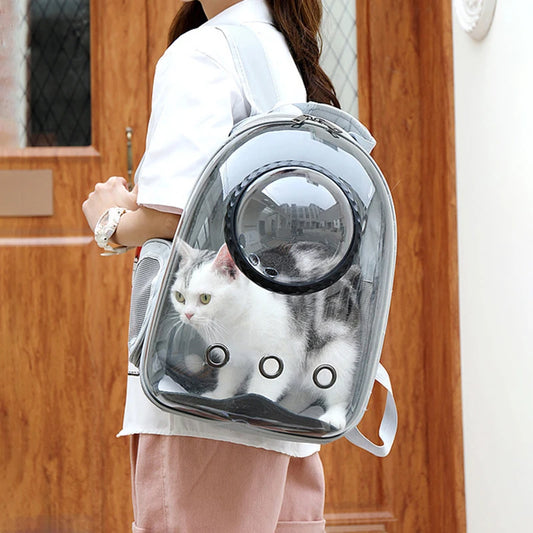 Stylish Cat Travel Backpack™