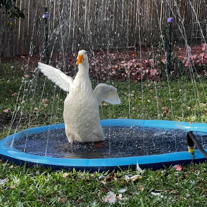 Summer Splash Pet Play Mat™